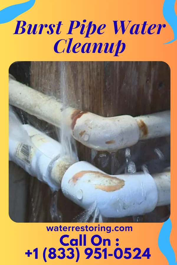 Burst Pipe Water Cleanup in Ocean Acres, NJ