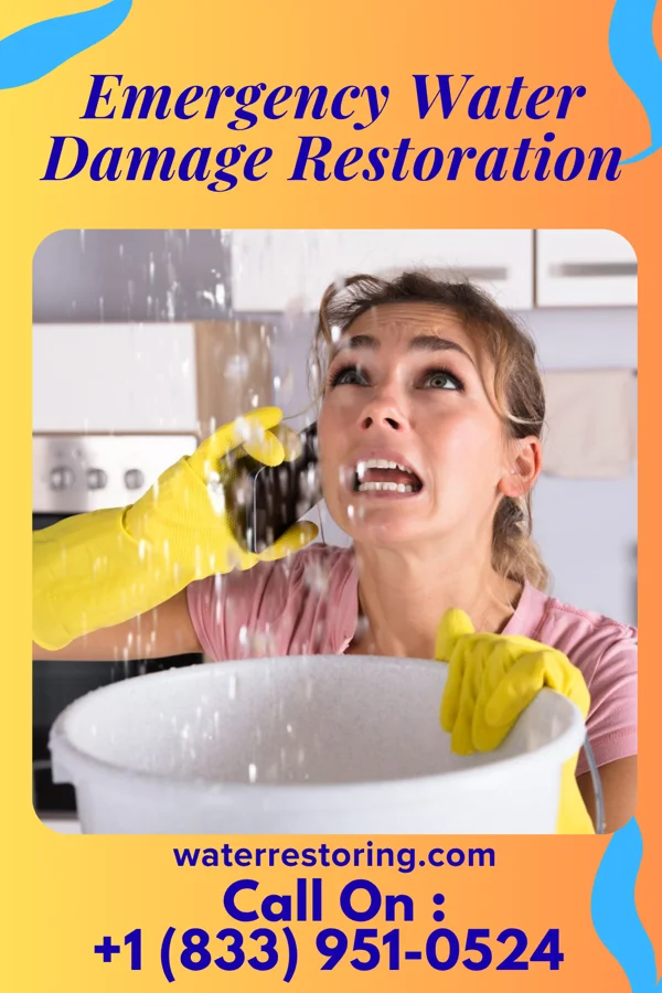 Emergency Water Damage Restoration in Ocean Acres, NJ
